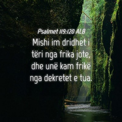 Picture 04 - Psalmet 119:120 ALB - Mishi im dridhet i tëri nga frika jote, dhe unë - Bible Verse Picture