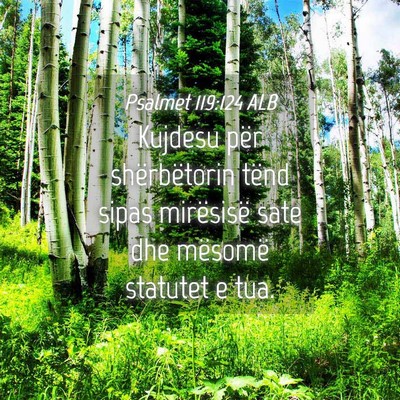 Picture 04 - Psalmet 119:124 ALB - Kujdesu për shërbëtorin tënd sipas mirësisë - Bible Verse Picture