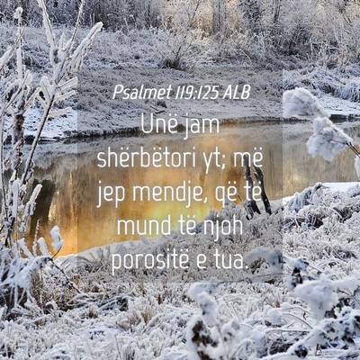 Picture 04 - Psalmet 119:125 ALB - Unë jam shërbëtori yt; më jep mendje, që të - Bible Verse Picture