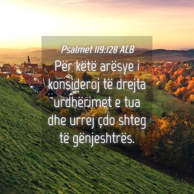 Picture 04 - Psalmet 119:128 ALB - Për këtë arësye i konsideroj të drejta - Bible Verse Picture