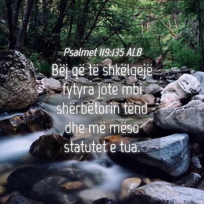 Picture 04 - Psalmet 119:135 ALB - Bëj që të shkëlqejë fytyra jote mbi - Bible Verse Picture