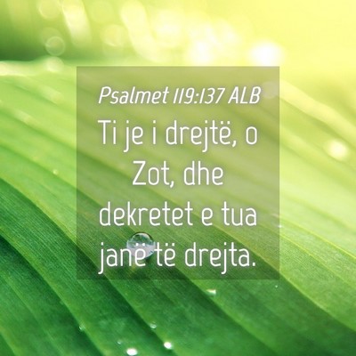 Picture 04 - Psalmet 119:137 ALB - Ti je i drejtë, o Zot, dhe dekretet e tua janë - Bible Verse Picture