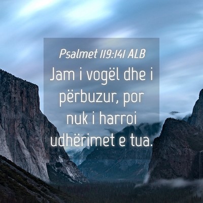 Picture 04 - Psalmet 119:141 ALB - Jam i vogël dhe i përbuzur, por nuk i harroi - Bible Verse Picture