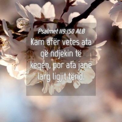 Picture 04 - Psalmet 119:150 ALB - Kam afër vetes ata që ndjekin të keqen, por - Bible Verse Picture