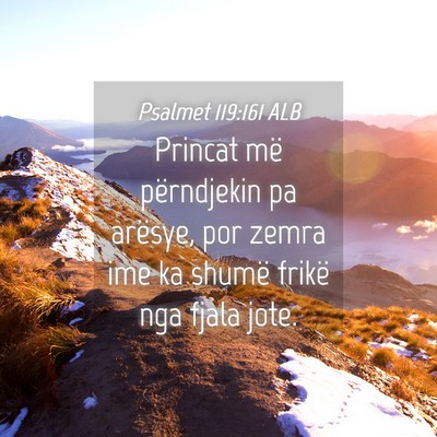 Picture 04 - Psalmet 119:161 ALB - Princat më përndjekin pa arësye, por zemra ime - Bible Verse Picture