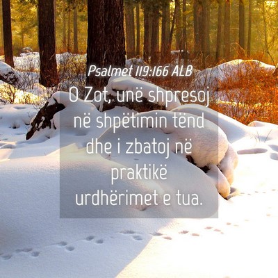 Picture 04 - Psalmet 119:166 ALB - O Zot, unë shpresoj në shpëtimin tënd dhe i - Bible Verse Picture