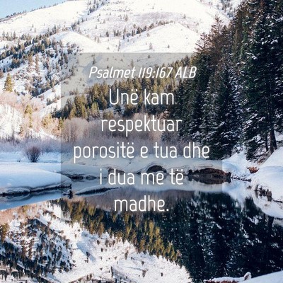 Picture 04 - Psalmet 119:167 ALB - Unë kam respektuar porositë e tua dhe i dua me - Bible Verse Picture
