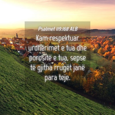 Picture 04 - Psalmet 119:168 ALB - Kam respektuar urdhërimet e tua dhe porositë e - Bible Verse Picture