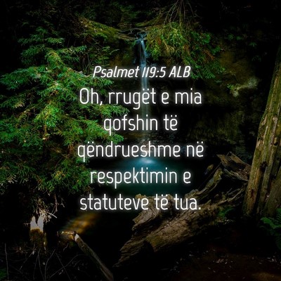 Picture 04 - Psalmet 119:5 ALB - Oh, rrugët e mia qofshin të qëndrueshme në - Bible Verse Picture