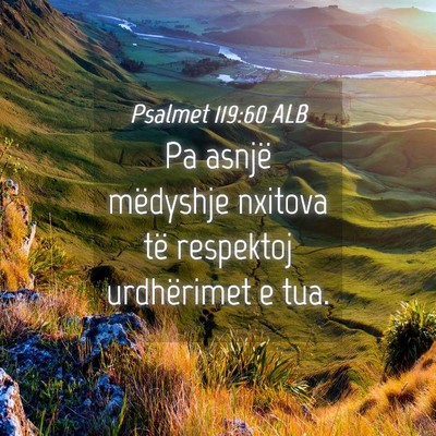 Picture 04 - Psalmet 119:60 ALB - Pa asnjë mëdyshje nxitova të respektoj - Bible Verse Picture