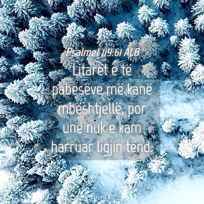Picture 04 - Psalmet 119:61 ALB - Litarët e të pabesëve më kanë mbështjellë, - Bible Verse Picture