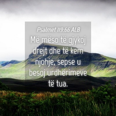 Picture 04 - Psalmet 119:66 ALB - Më mëso të gjykoj drejt dhe të kem njohje, - Bible Verse Picture