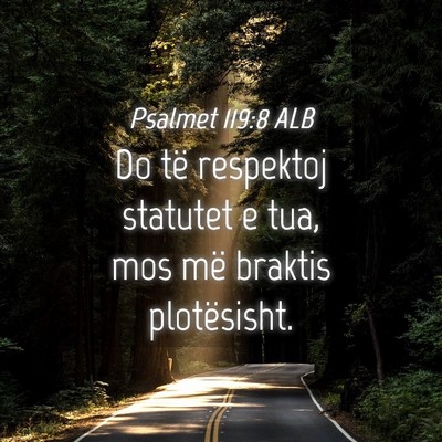 Picture 04 - Psalmet 119:8 ALB - Do të respektoj statutet e tua, mos më braktis - Bible Verse Picture