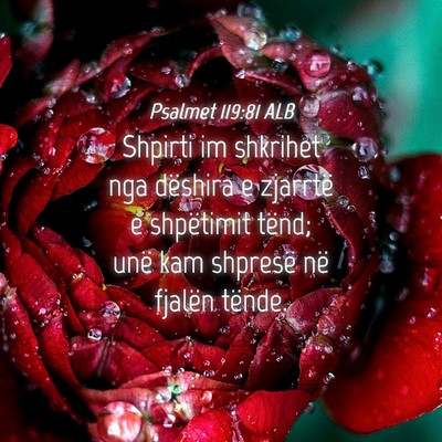 Picture 04 - Psalmet 119:81 ALB - Shpirti im shkrihet nga dëshira e zjarrtë e - Bible Verse Picture
