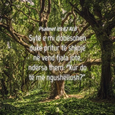 Picture 04 - Psalmet 119:82 ALB - Sytë e mi dobësohen duke pritur të shkojë në - Bible Verse Picture