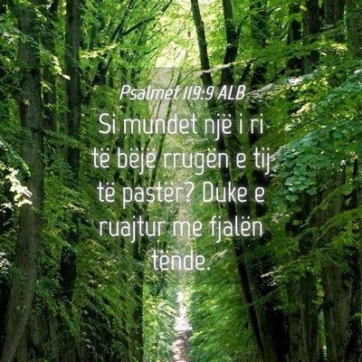 Picture 04 - Psalmet 119:9 ALB - Si mundet një i ri të bëjë rrugën e tij të - Bible Verse Picture