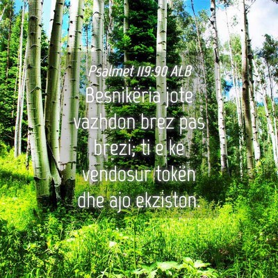 Picture 04 - Psalmet 119:90 ALB - Besnikëria jote vazhdon brez pas brezi; ti e ke - Bible Verse Picture