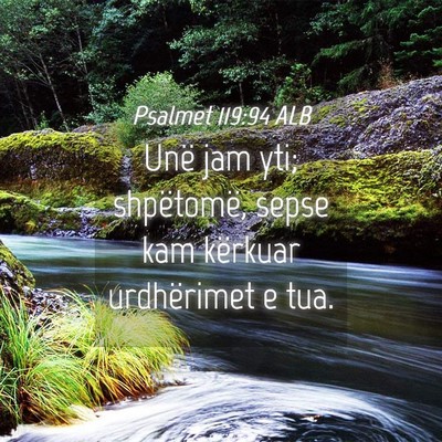 Picture 04 - Psalmet 119:94 ALB - Unë jam yti; shpëtomë, sepse kam kërkuar - Bible Verse Picture