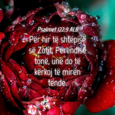 Picture 04 - Psalmet 122:9 ALB - Për hir të shtëpisë së Zotit, Perëndisë - Bible Verse Picture
