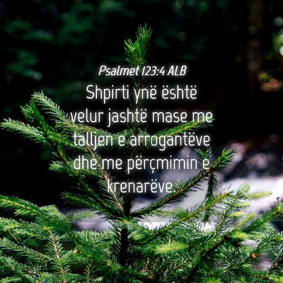 Picture 04 - Psalmet 123:4 ALB - Shpirti ynë është velur jashtë mase me - Bible Verse Picture