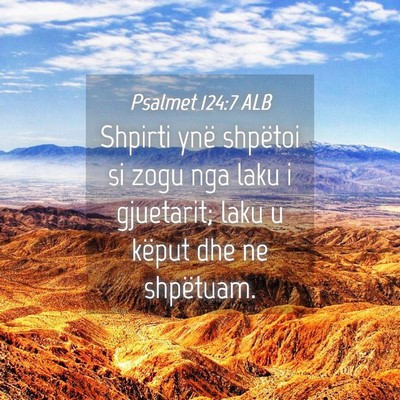 Picture 04 - Psalmet 124:7 ALB - Shpirti ynë shpëtoi si zogu nga laku i - Bible Verse Picture
