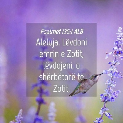 Picture 04 - Psalmet 135:1 ALB - Aleluja. Lëvdoni emrin e Zotit, lëvdojeni, o - Bible Verse Picture