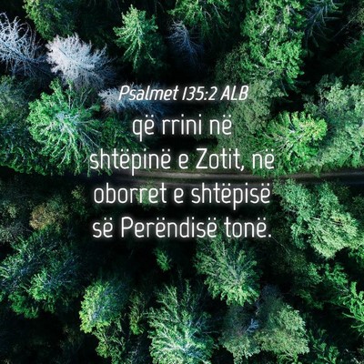 Picture 04 - Psalmet 135:2 ALB - që rrini në shtëpinë e Zotit, në oborret e - Bible Verse Picture