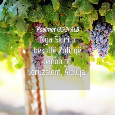 Picture 04 - Psalmet 135:21 ALB - Nga Sioni u bekoftë Zoti, që banon në - Bible Verse Picture