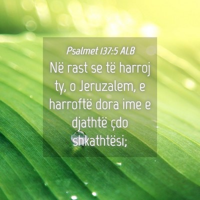 Picture 04 - Psalmet 137:5 ALB - Në rast se të harroj ty, o Jeruzalem, e - Bible Verse Picture