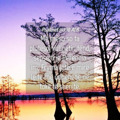 Picture 04 - Psalmet 143:10 ALB - Më mëso so ta plotësoj vullnetin tënd, sepse - Bible Verse Picture