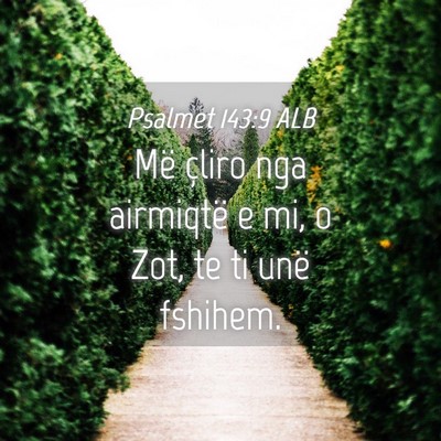 Picture 04 - Psalmet 143:9 ALB - Më çliro nga airmiqtë e mi, o Zot, te ti unë - Bible Verse Picture