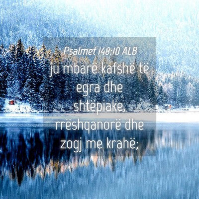 Picture 04 - Psalmet 148:10 ALB - ju mbarë kafshë të egra dhe shtëpiake, - Bible Verse Picture
