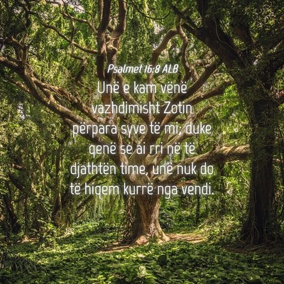 Picture 04 - Psalmet 16:8 ALB - Unë e kam vënë vazhdimisht Zotin përpara syve - Bible Verse Picture