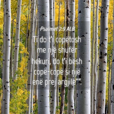 Picture 04 - Psalmet 2:9 ALB - Ti do t’i copëtosh me një shufër hekuri, do - Bible Verse Picture