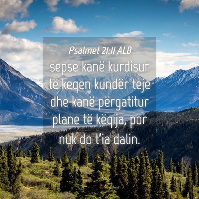 Picture 04 - Psalmet 21:11 ALB - sepse kanë kurdisur të keqen kundër teje dhe - Bible Verse Picture