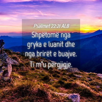 Picture 04 - Psalmet 22:21 ALB - Shpëtomë nga gryka e luanit dhe nga brirët e - Bible Verse Picture