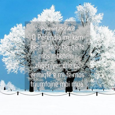 Picture 04 - Psalmet 25:2 ALB - O Perëndia im, kam besim te ti; bëj që të mos - Bible Verse Picture