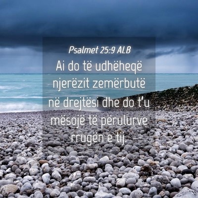 Picture 04 - Psalmet 25:9 ALB - Ai do të udhëheqë njerëzit zemërbutë në - Bible Verse Picture