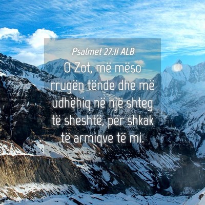 Picture 04 - Psalmet 27:11 ALB - O Zot, më mëso rrugën tënde dhe më udhëhiq - Bible Verse Picture