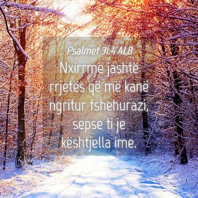 Picture 04 - Psalmet 31:4 ALB - Nxirrmë jashtë rrjetës që më kanë ngritur - Bible Verse Picture