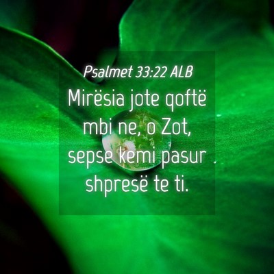 Picture 04 - Psalmet 33:22 ALB - Mirësia jote qoftë mbi ne, o Zot, sepse kemi - Bible Verse Picture