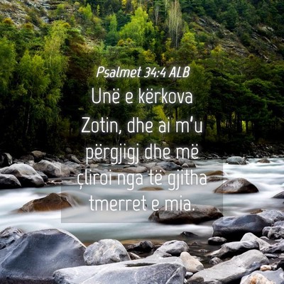Picture 04 - Psalmet 34:4 ALB - Unë e kërkova Zotin, dhe ai m’u përgjigj dhe - Bible Verse Picture