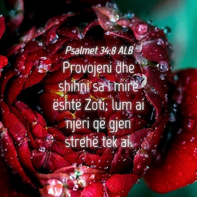Picture 04 - Psalmet 34:8 ALB - Provojeni dhe shihni sa i mirë është Zoti; lum - Bible Verse Picture