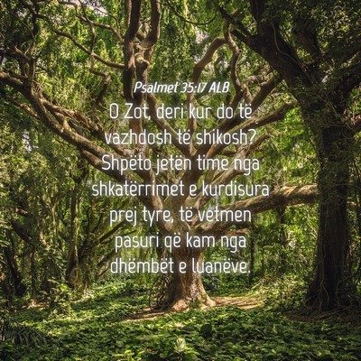 Picture 04 - Psalmet 35:17 ALB - O Zot, deri kur do të vazhdosh të shikosh? - Bible Verse Picture