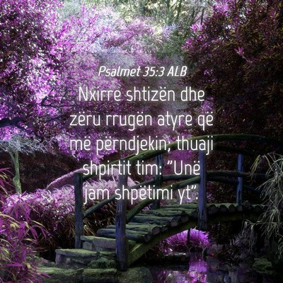Picture 04 - Psalmet 35:3 ALB - Nxirre shtizën dhe zëru rrugën atyre që më - Bible Verse Picture