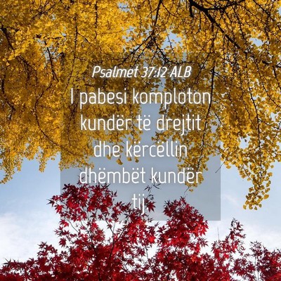 Picture 04 - Psalmet 37:12 ALB - I pabesi komploton kundër të drejtit dhe - Bible Verse Picture