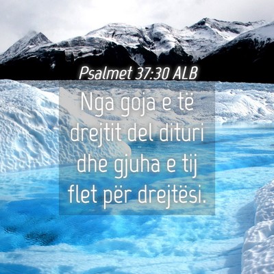 Picture 04 - Psalmet 37:30 ALB - Nga goja e të drejtit del dituri dhe gjuha e tij - Bible Verse Picture