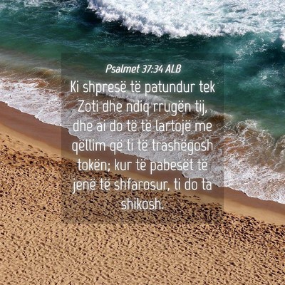 Picture 04 - Psalmet 37:34 ALB - Ki shpresë të patundur tek Zoti dhe ndiq - Bible Verse Picture