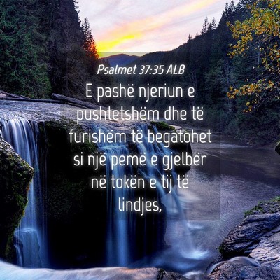 Picture 04 - Psalmet 37:35 ALB - E pashë njeriun e pushtetshëm dhe të furishëm - Bible Verse Picture