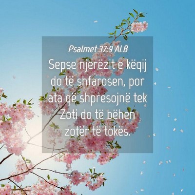 Picture 04 - Psalmet 37:9 ALB - Sepse njerëzit e këqij do të shfarosen, por - Bible Verse Picture